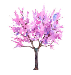 Obraz premium Cherry blossom tree, japanese sakura. Watercolor hand drawn illustration.