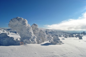 Pejzaż zimowy Karkonoszy