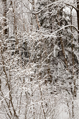 Winter time