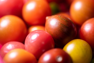 Multicolored cherry tomatos
