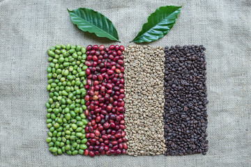 Coffee Berries and Coffee Beans