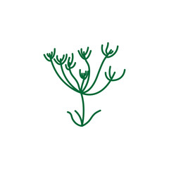 Fototapeta na wymiar Herb, caraway icon. Element of herb icon for mobile concept and web apps. Detailed Herb, caraway icon can be used for web and mobile