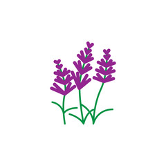 Herb, ginkgo icon. Element of herb icon for mobile concept and web apps. Detailed Herb, ginkgo icon can be used for web and mobile