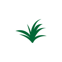 Herb, lemongrass icon. Element of herb icon for mobile concept and web apps. Detailed Herb, lemongrass icon can be used for web and mobile
