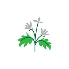 Herb icon. Element of herb icon for mobile concept and web apps. Detailed herb icon can be used for web and mobile