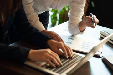 Business accounting  accounting and auditing teaching  consulting work.