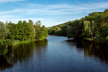 the river recedes into the distance on the shore along the edges of nature with reeds and trees under a blue sky with cirrus clouds.