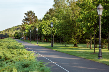 asphalt road in the park with greenery bushes and trees, lampposts along the bike path.