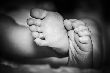 Newborn feets