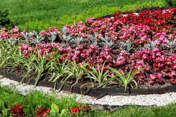 flowerbed with red blossoms and deciduous flowers with a path covered with pebbles, landscape design with a green lawn and plants close-up.