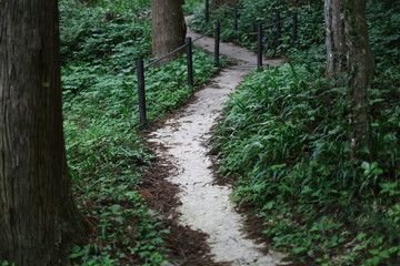 山寺の参道