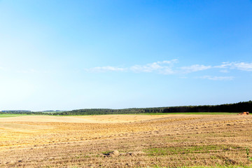 agricultural field and blue sky
