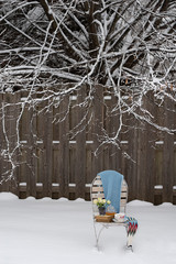 Tea in Snow Landscape 