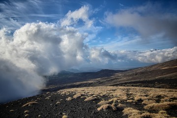 Low Clouds On Highland