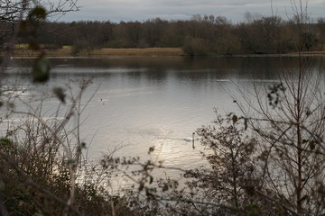 Fototapeta premium duddingston loch