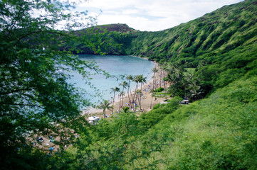 Fototapeta na wymiar ハワイ,オアフ島,ハナウマ湾