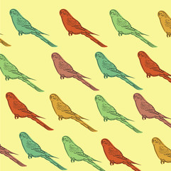Textura de periquitos