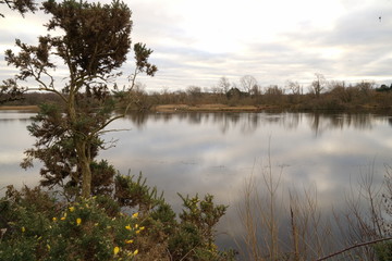Obraz premium duddingston loch