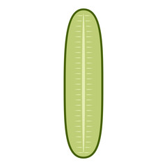 Isolated cut cucumber image. Vector illustration design