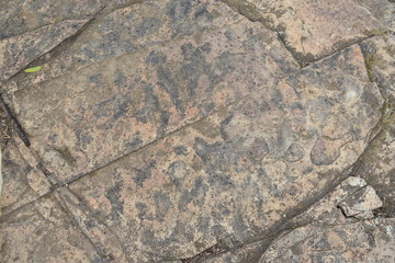 store texture brown color