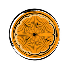 Sketch of a front view of a cut orange. Vector illustration design