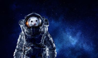 Fototapeta premium First trip to space. Mixed media