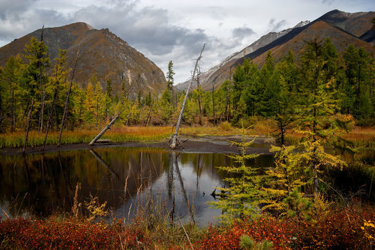The beginning of autumn in Tunkinskie loaches the mountains Eastern Sayan 