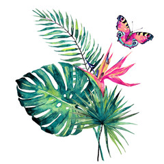 beautiful tropical palm leaves and flowers, watercolor - 245066764