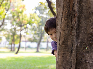 Handsome boy hiding behind tree for playing hide and seek with friend at park or son hiding mother...