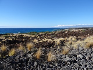 Obraz premium View on the Manini'owali beach and coastline in Big Island, Hawaii