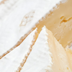 Brie cheese isolation on white