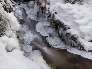 smooth motion of wild water in a river in winter with snow and ice on rocks and stones in the beautiful nature of a forest