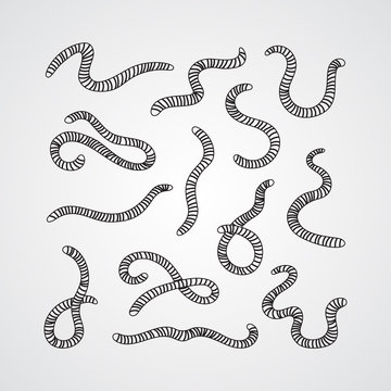Collection of worms. Illustration of animal, nature, fishing, earth and ground. Set of earthworms. Silhouette flat icon, simple vector design