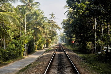 Fototapeta na wymiar Railway in the tropics of Sri Lanka stretching into the distance