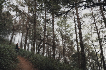 A woman trekking in the jungle of rain forest woods