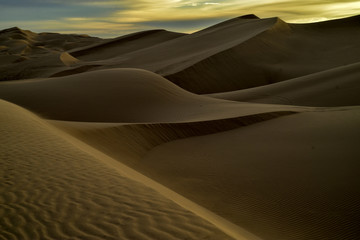 Fototapeta na wymiar dawn in the desert sand dunes of California