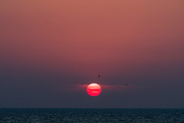 Red sun and birds over Gulf of Mexico, Yucatan Peninsula
