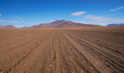Fototapeta na wymiar Siloli desert in Bolivia