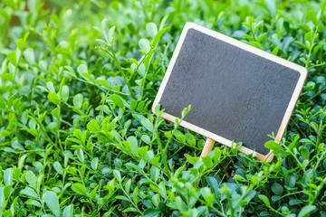 Closeup wooden black board on green plant textured background