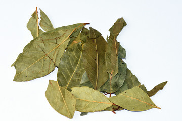 Fototapeta premium Dried bay leaf on white background