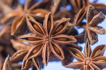  Dried  anise on blue  background