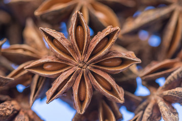  Dried  anise on blue  background