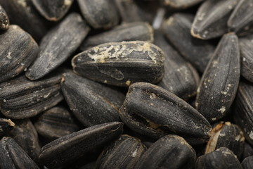  Roasted salted black sunflower seed background