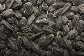  Roasted salted black sunflower seed background