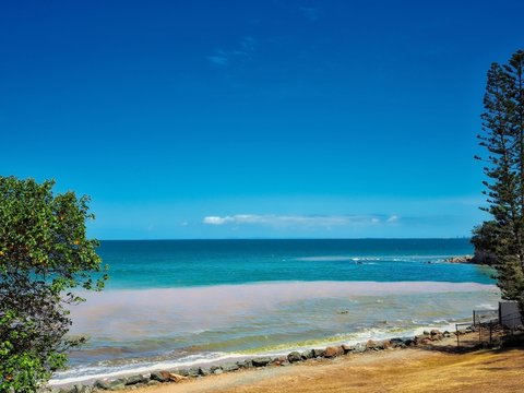 Red Tide Turning Water Pink At Redcliffe Beach, Queensland, Australia. 