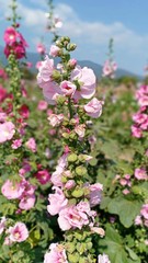 Flower show at flower park 