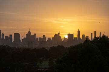 Fototapeta na wymiar Melbourne city skyline with a glowing orange sky and park trees in the foreground