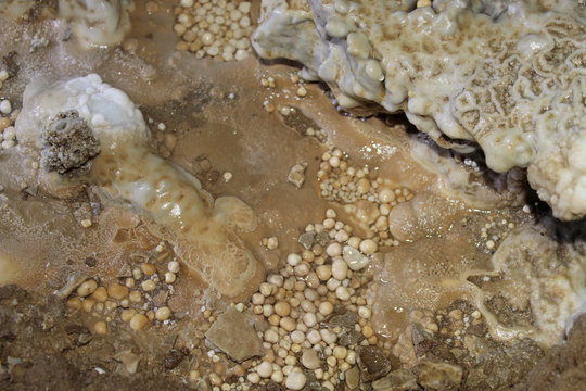 perolas