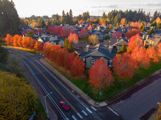 Aerial shot of a street intersection in Hillsboro, Oregon. Red fall trees along streets highlighted with setting sun. Fallen leaves create circles around trees. Bright fall colors