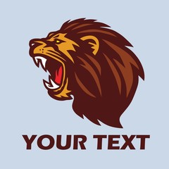  Angry Lion Head Vector